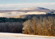 1021Again/DP-Christmas-card-II.jpg