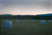 1021Again/Tony-s-view.jpg